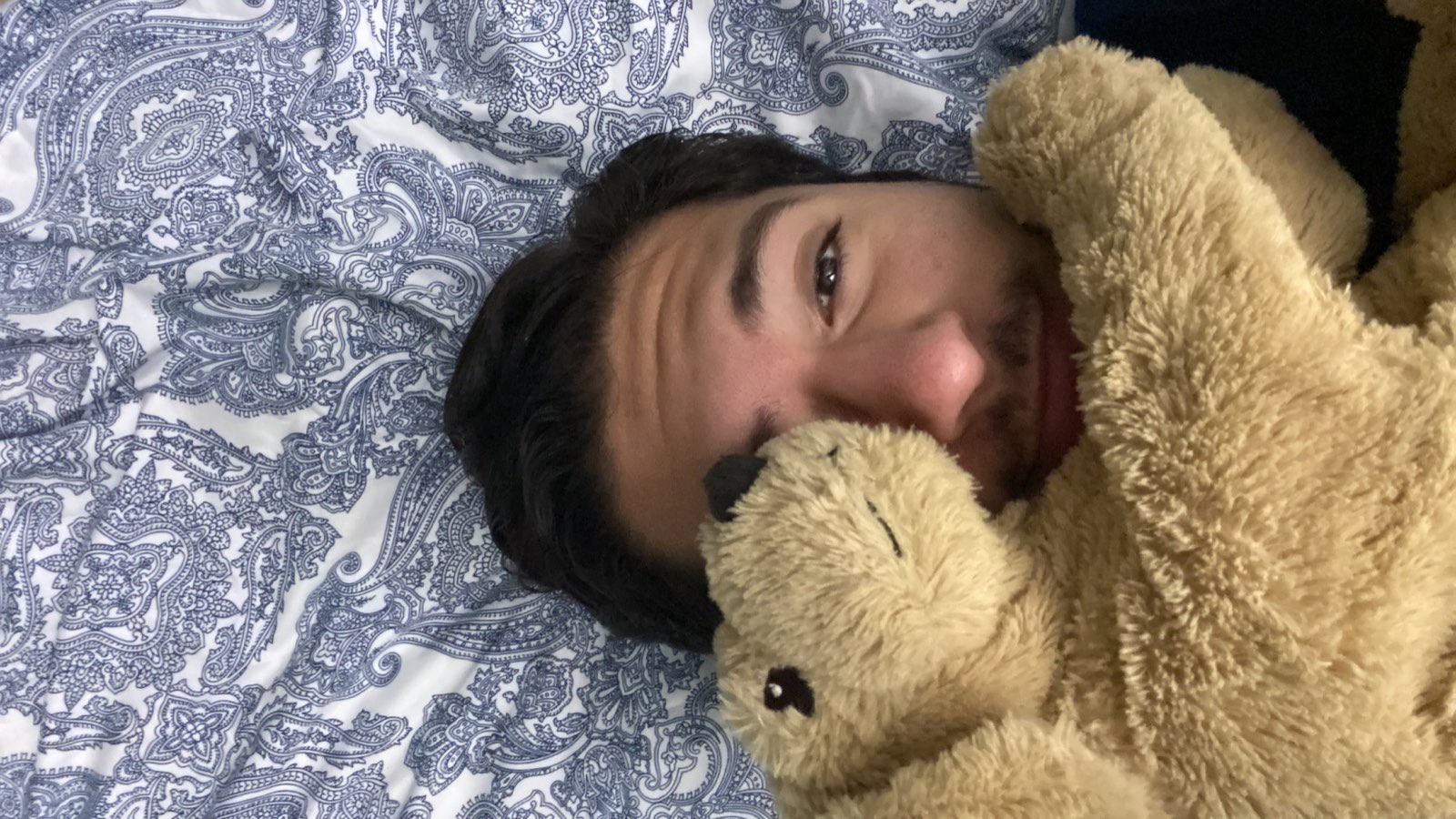 Daisy, Forever Favorite